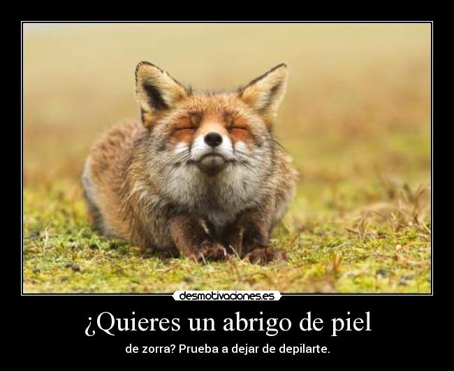 ¿Quieres un abrigo de piel - de zorra? Prueba a dejar de depilarte.