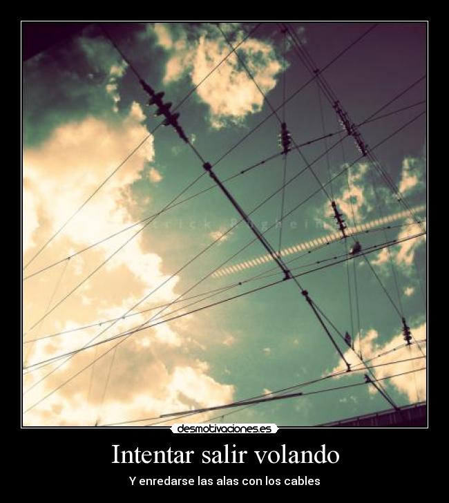 Intentar salir volando -