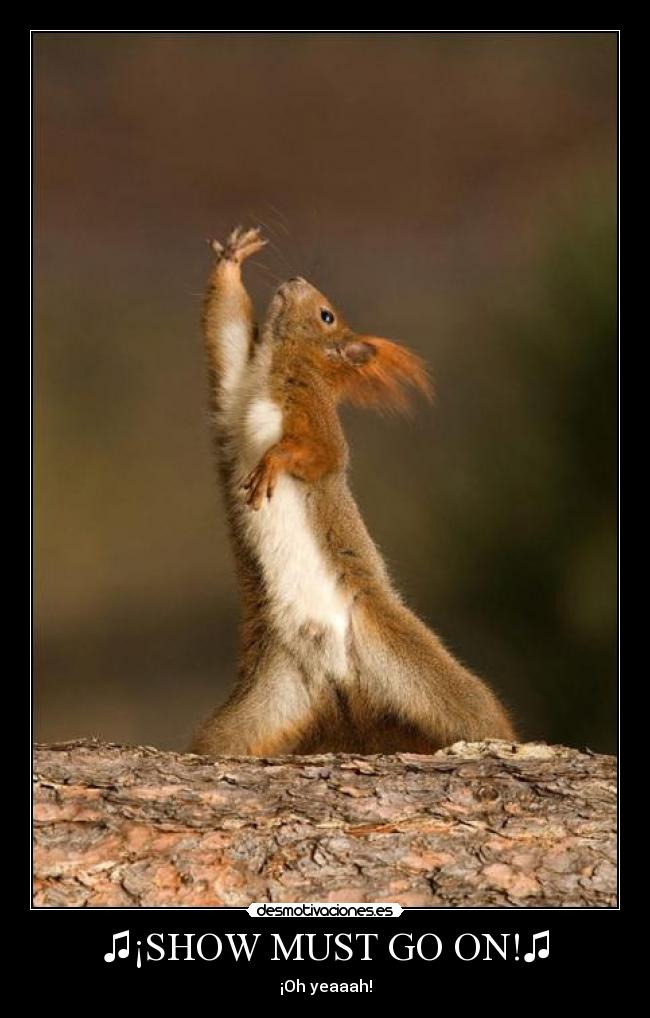 ♫¡SHOW MUST GO ON!♫ - 