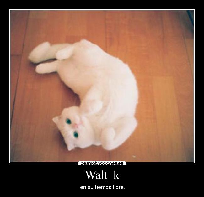Walt_k - en su tiempo libre.