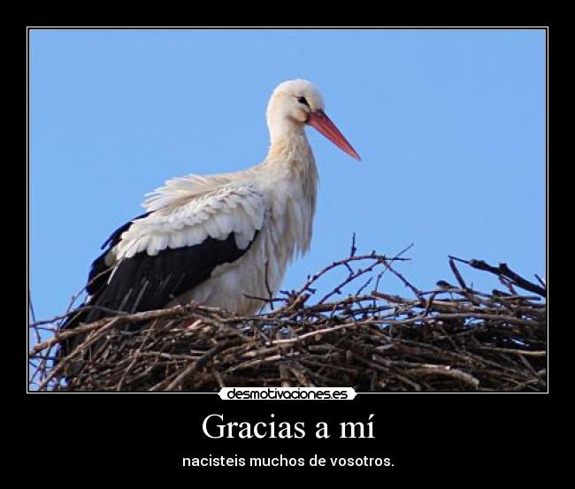 Gracias a mí - 