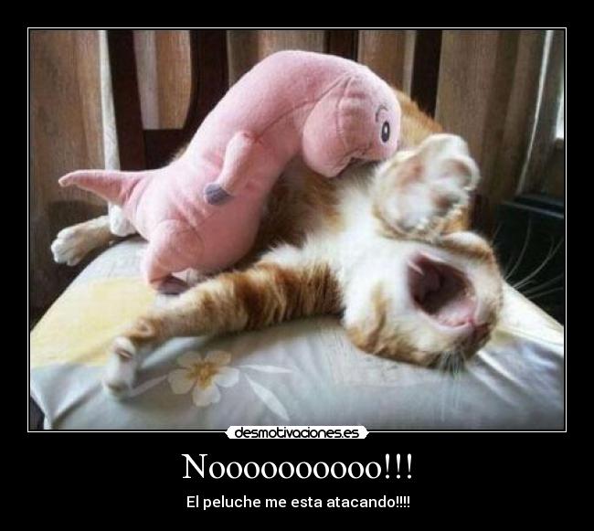 Noooooooooo!!! -