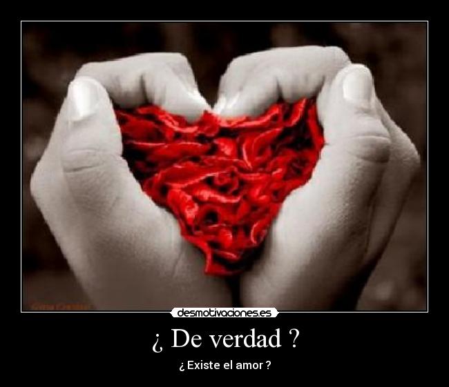 carteles verdad desmotivaciones