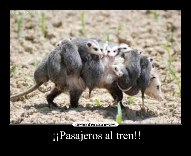 ¡¡Pasajeros al tren!! - 