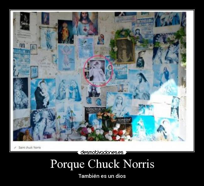 Porque Chuck Norris -
