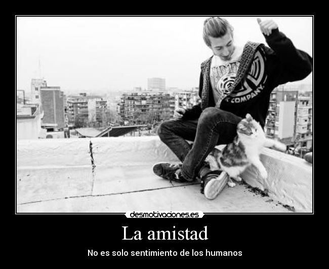 La amistad - No es solo sentimiento de los humanos