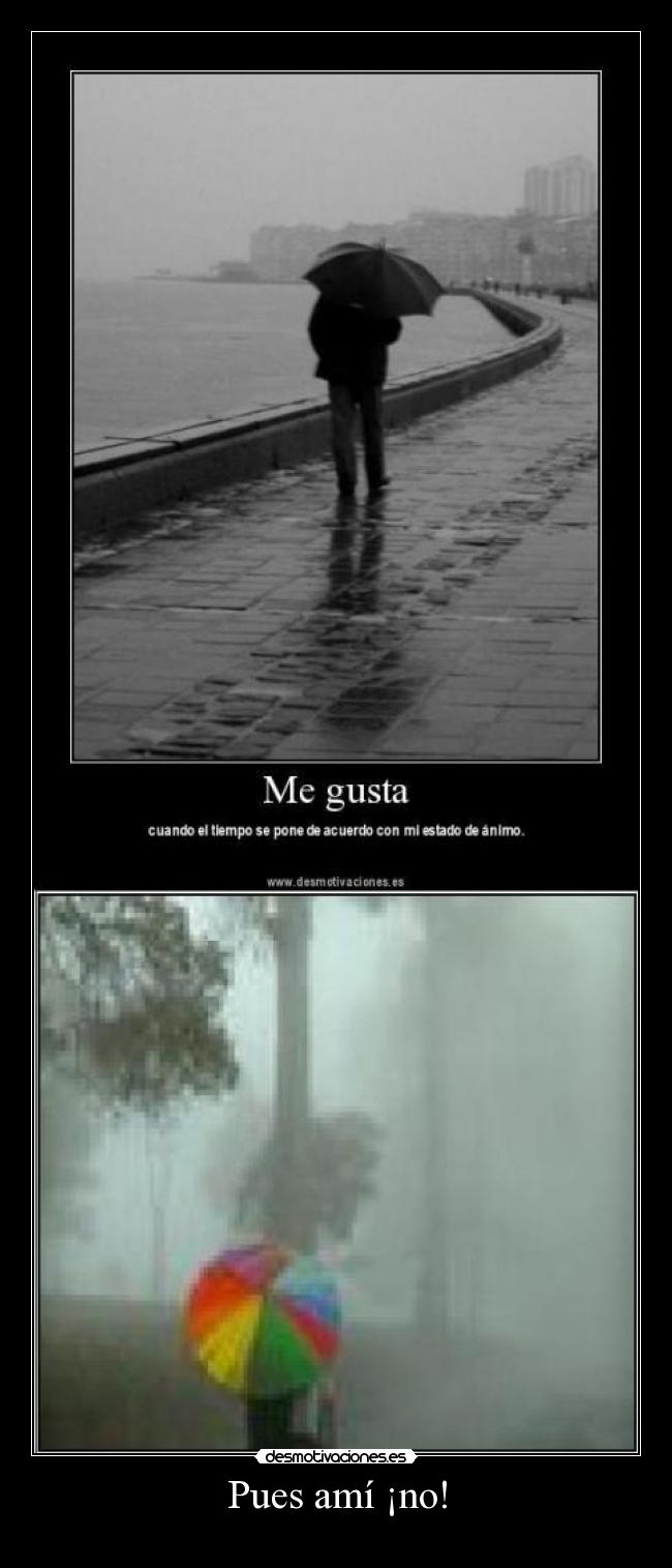 Pues amí ¡no! - 