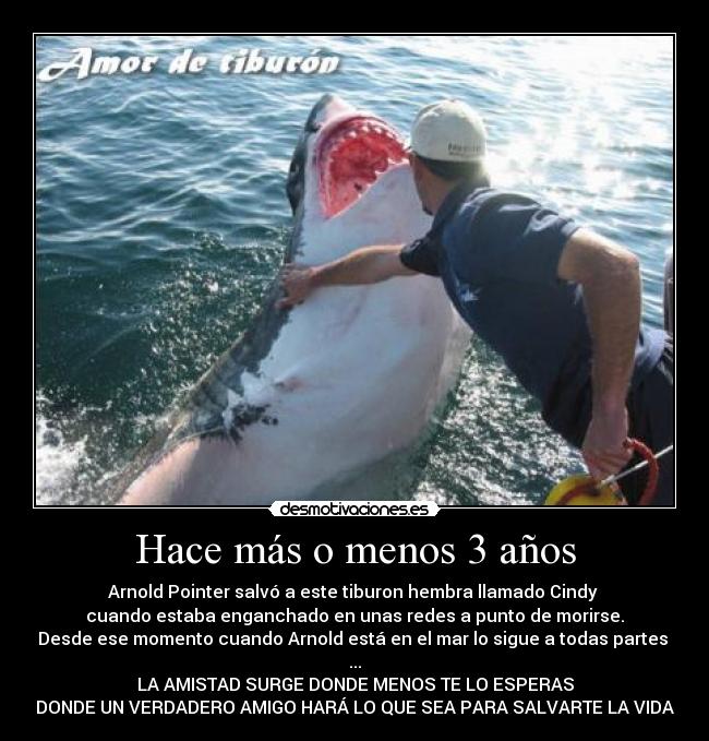 Hace más o menos 3 años -