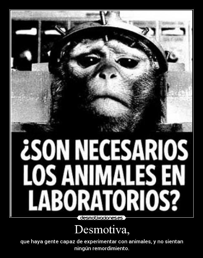 Desmotiva, - que haya gente capaz de experimentar con animales, y no sientan
ningún remordimiento.