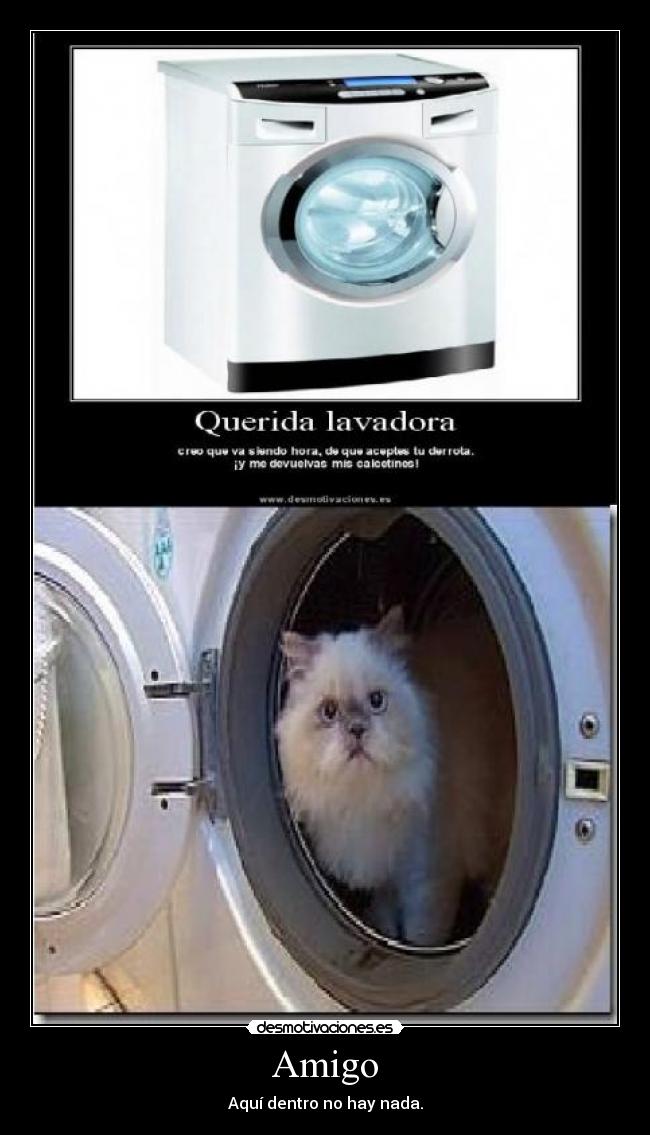 Amigo - Aquí dentro no hay nada.