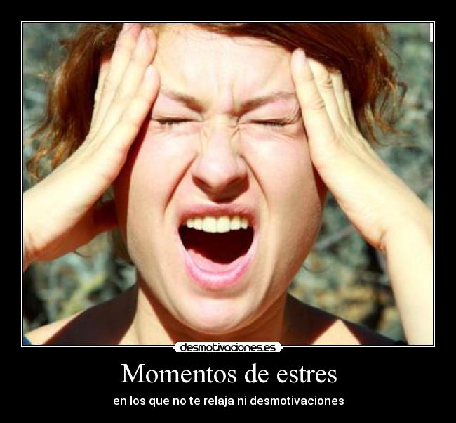 Momentos de estres - 