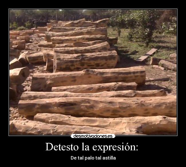 Detesto la expresión:  - 