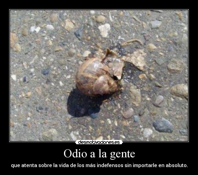 Odio a la gente -