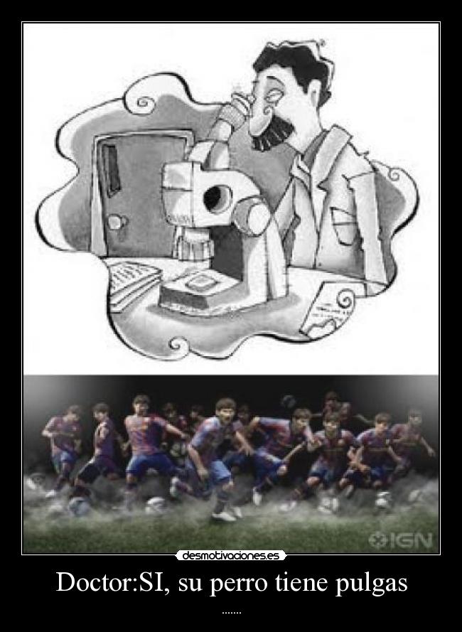Doctor:SI, su perro tiene pulgas - .......