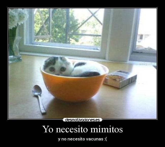 Yo necesito mimitos - 