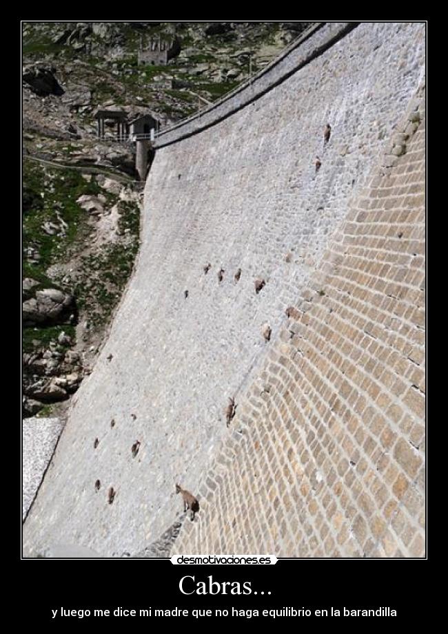 Cabras... - y luego me dice mi madre que no haga equilibrio en la barandilla
