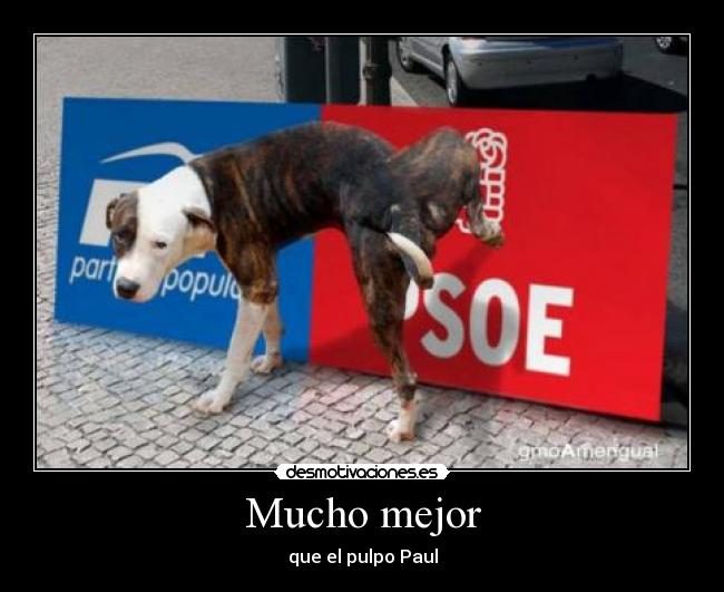 Mucho mejor - que el pulpo Paul