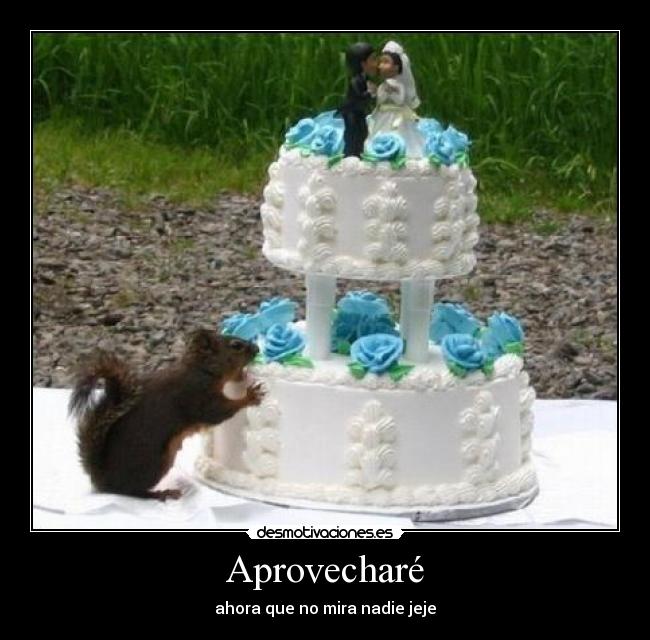 Aprovecharé - ahora que no mira nadie jeje