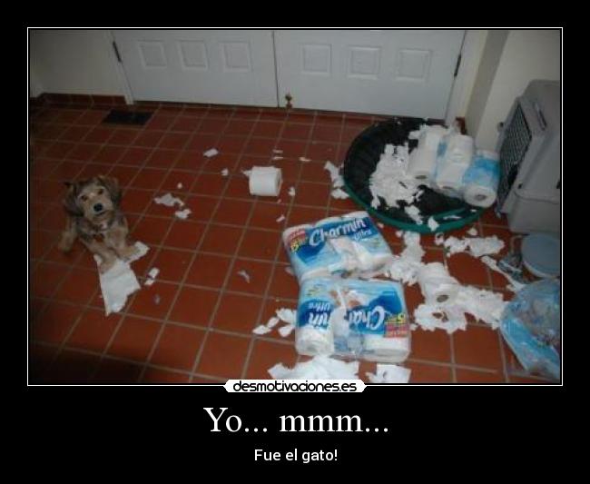 Yo... mmm... - Fue el gato!
