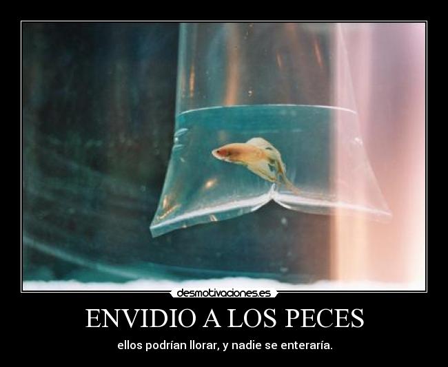 ENVIDIO A LOS PECES -