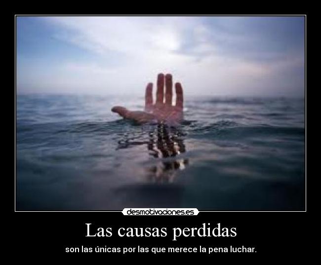 Las causas perdidas - 