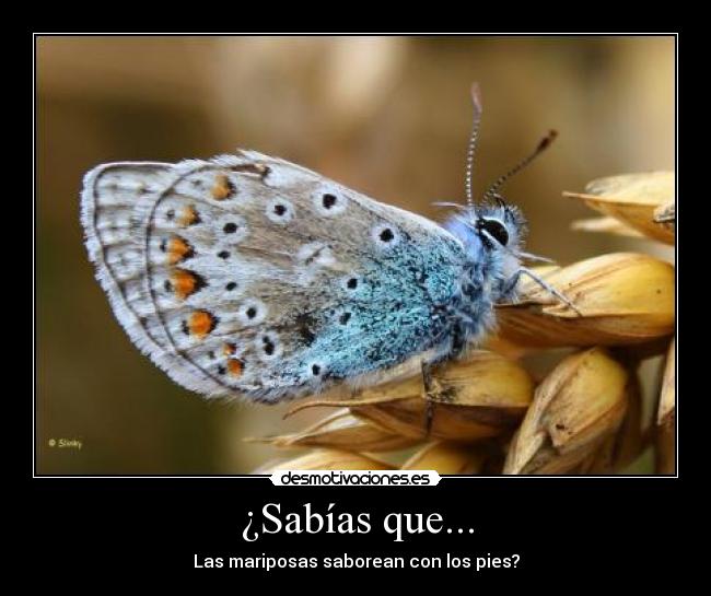 carteles desmotivaciones