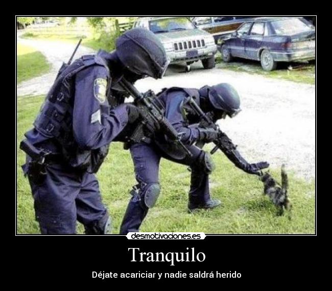 Tranquilo - Déjate acariciar y nadie saldrá herido