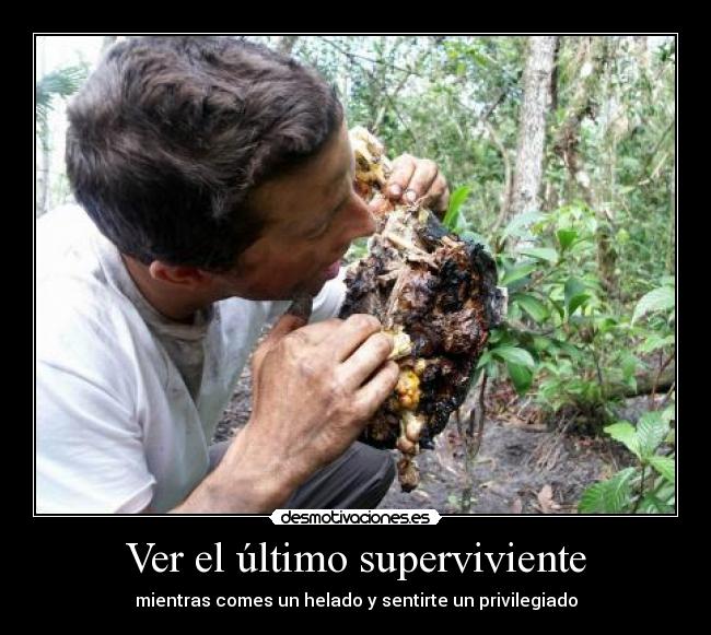 carteles bear grylls desmotivaciones