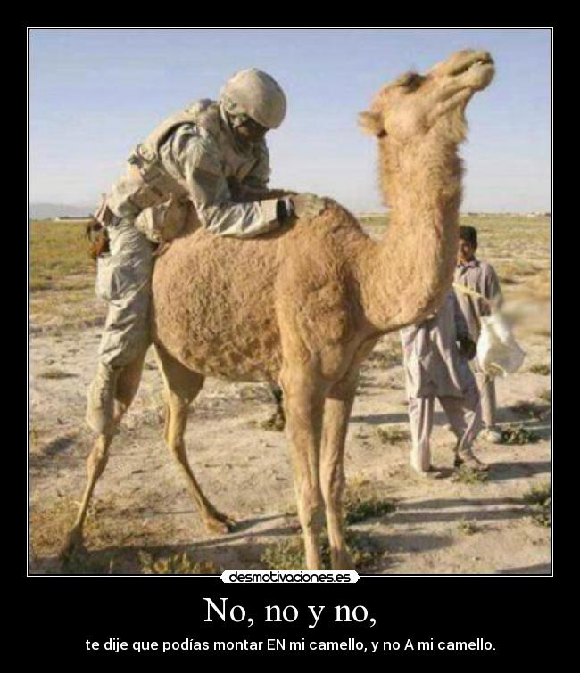No, no y no, - te dije que podías montar EN mi camello, y no A mi camello.