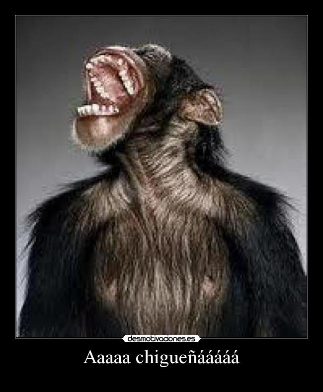 Aaaaa chigueñááááá -