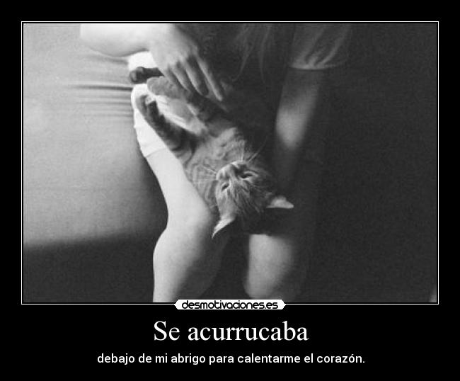 Se acurrucaba - 