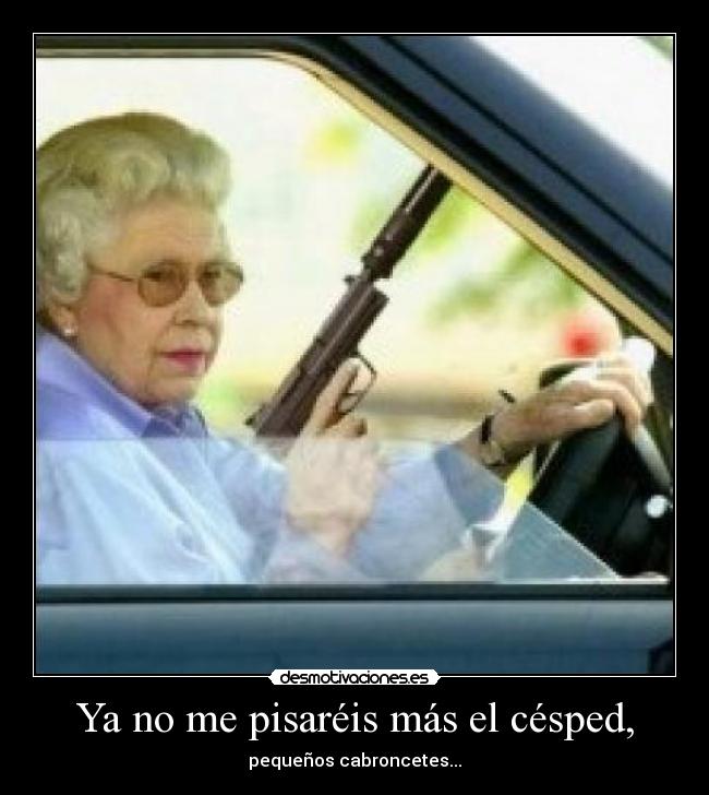 carteles abuela wtf asesina desmotivaciones