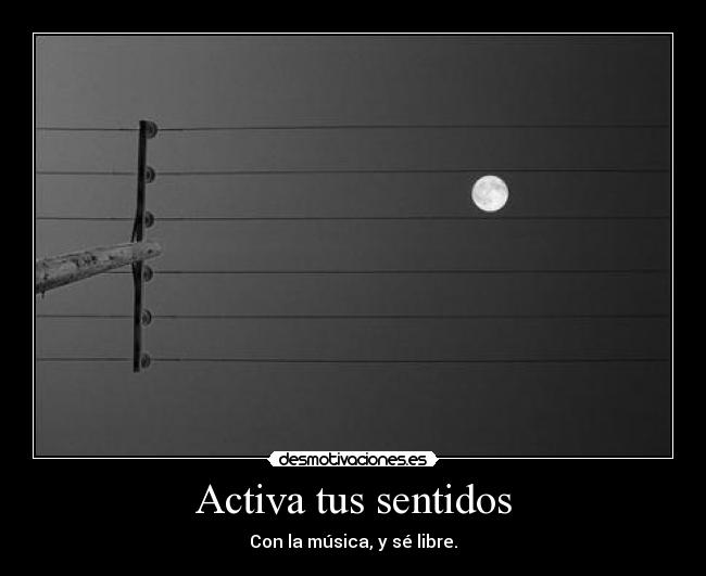 Activa tus sentidos -