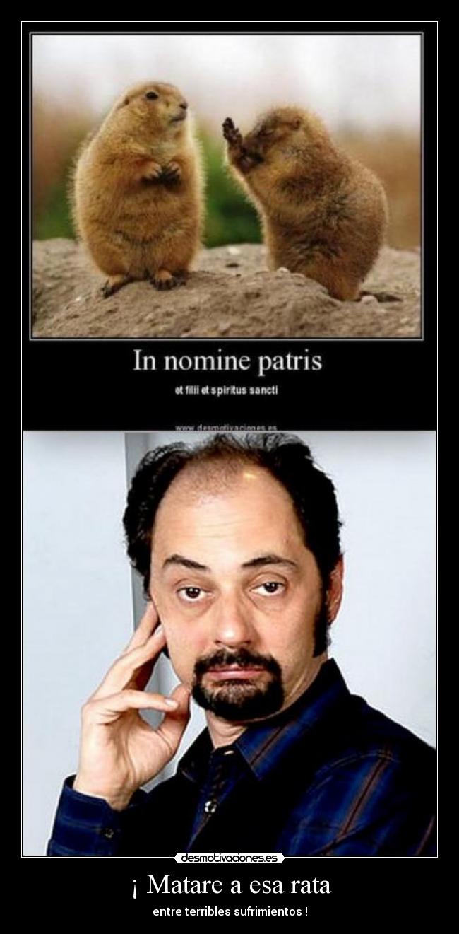 ¡ Matare a esa rata -
