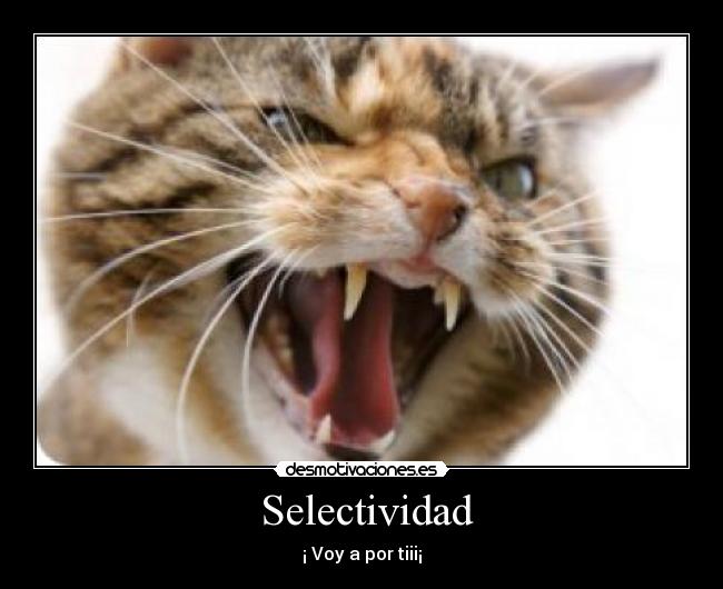 Selectividad - ¡ Voy a por tiii¡