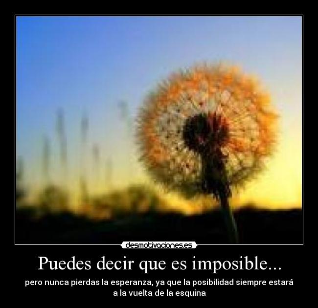Puedes decir que es imposible... -