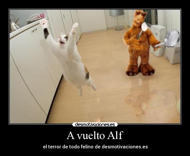 A vuelto Alf - el terror de todo felino de desmotivaciones.es