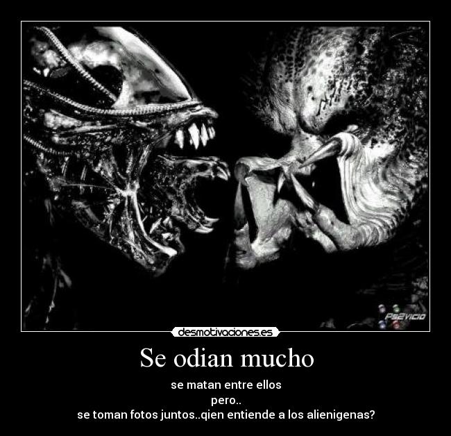 Se odian mucho - se matan entre ellos
pero..
se toman fotos juntos..qien entiende a los alienigenas?