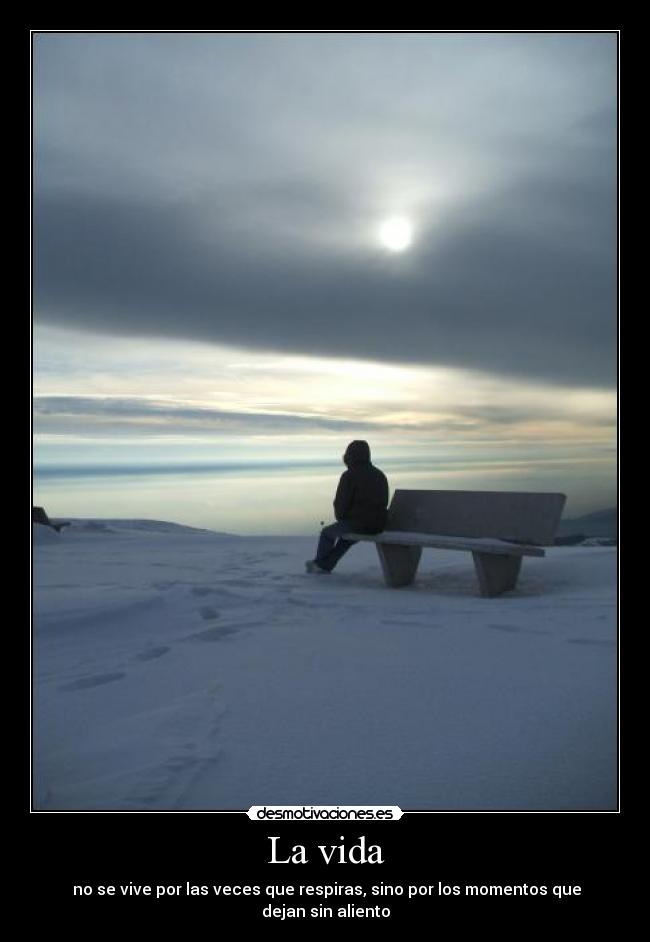 La vida -