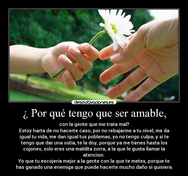 carteles porque tengo que ser amable desmotivaciones