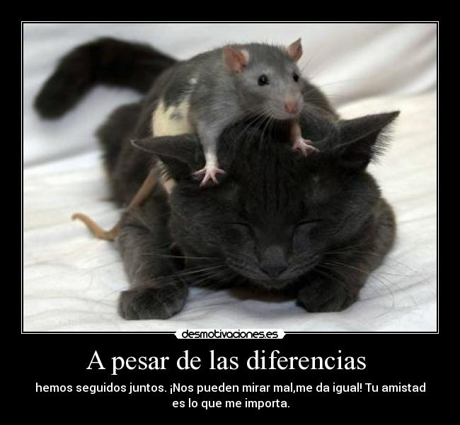 A pesar de las diferencias -