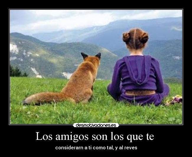 Los amigos son los que te - considerarn a ti como tal, y al reves