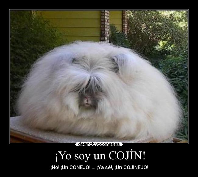 ¡Yo soy un COJÍN! - ¡No! ¡Un CONEJO! ... ¡Ya sé!, ¡Un COJINEJO!