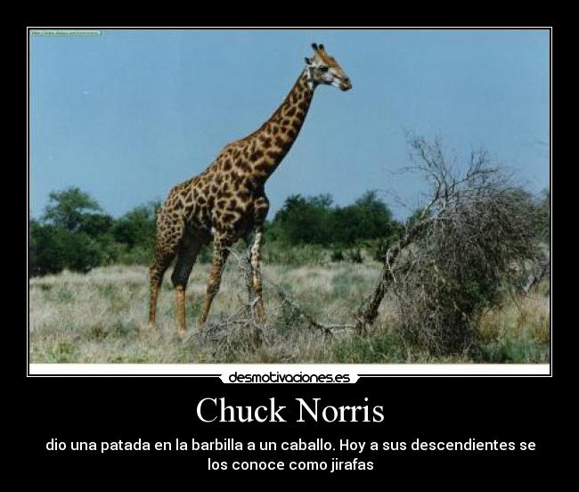 Chuck Norris - 
