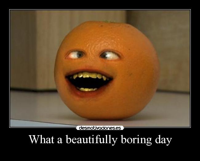 What a beautifully boring day -