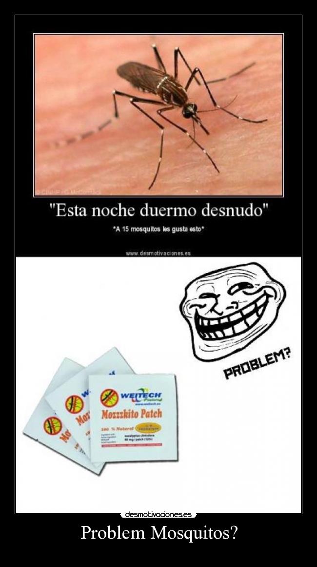 carteles mosquitos desmotivaciones