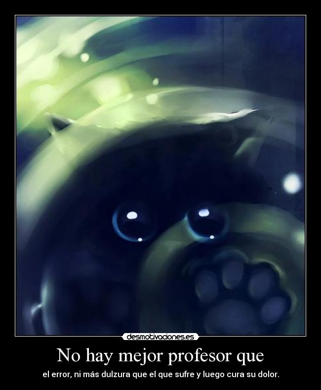 No hay mejor profesor que -