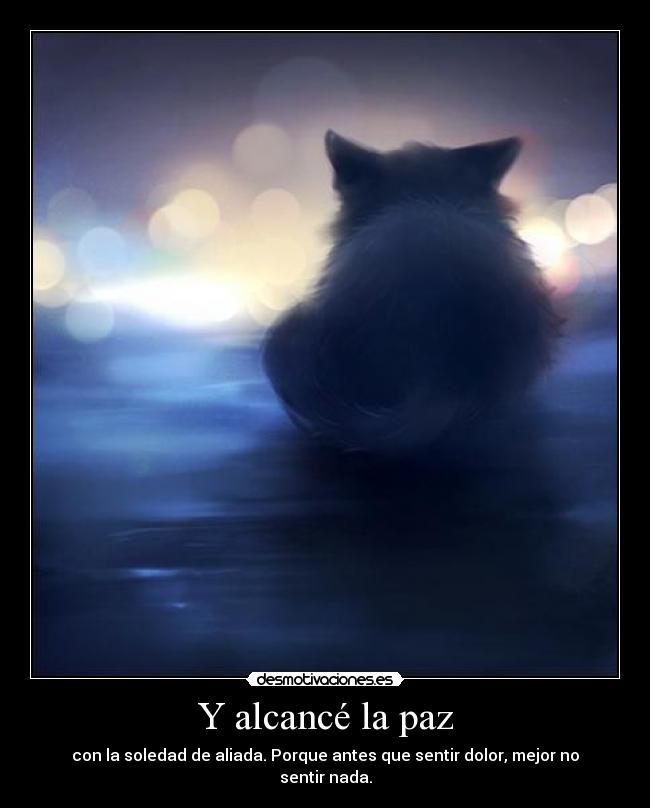 carteles nach gatos sentimientos soledad dolor frases desmotivaciones