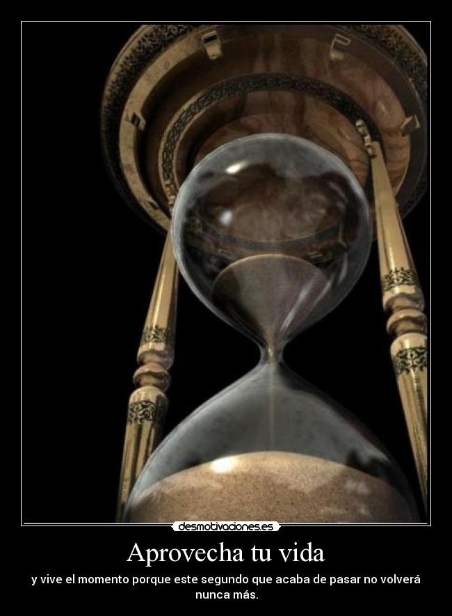 Aprovecha tu vida - y vive el momento porque este segundo que acaba de pasar no volverá nunca más.