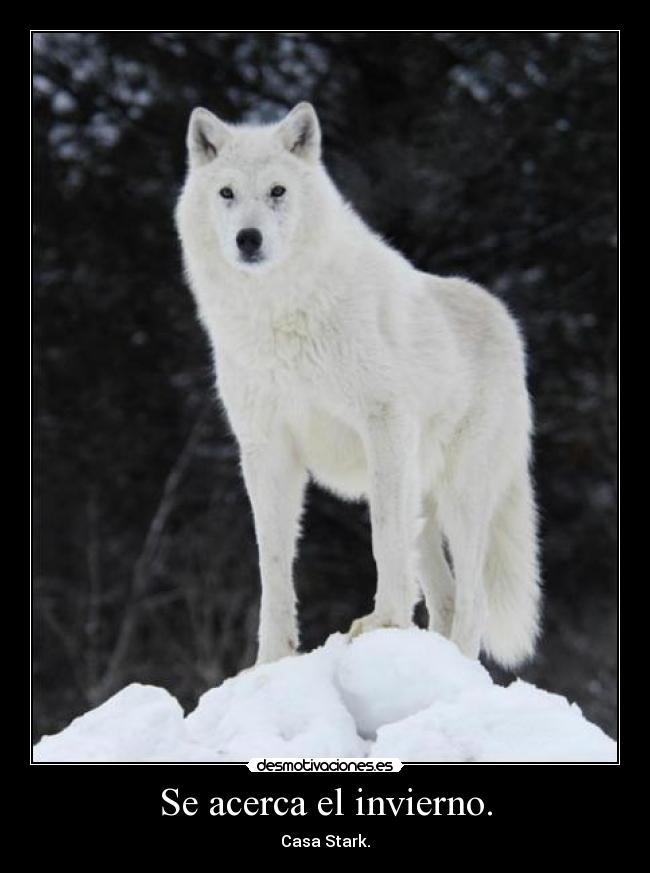 Se acerca el invierno. - Casa Stark.
